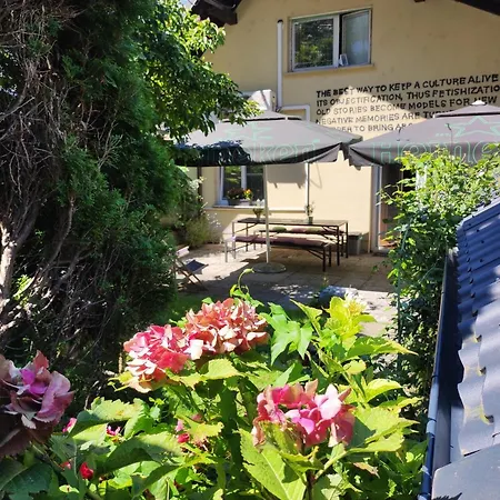 Tiny Wooden House Aretha Franklin Luxury tent *